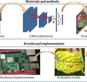 Leaf Disease Detection System using Raspberry Pi and Camera